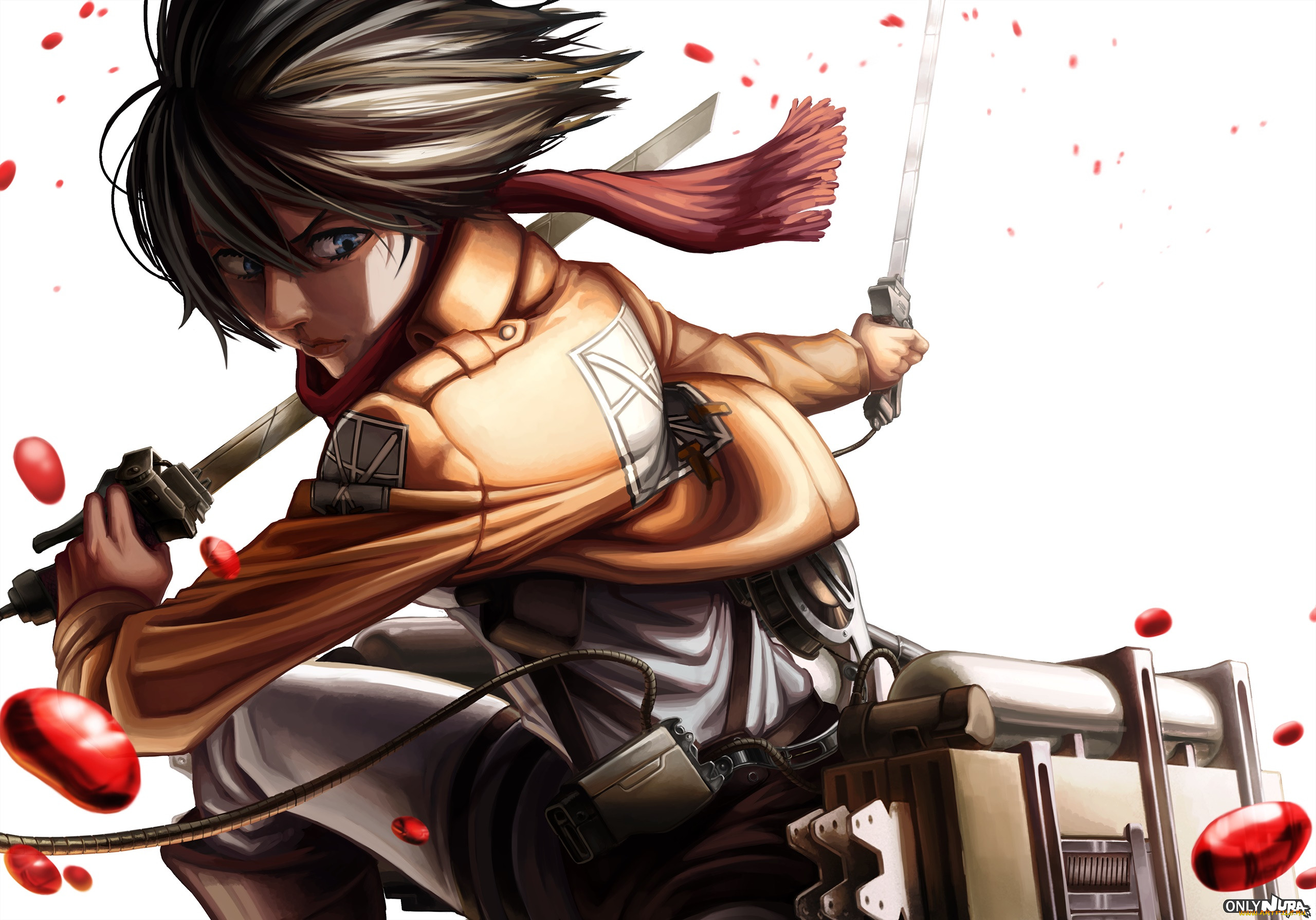 , shingeki no kyojin, , , 